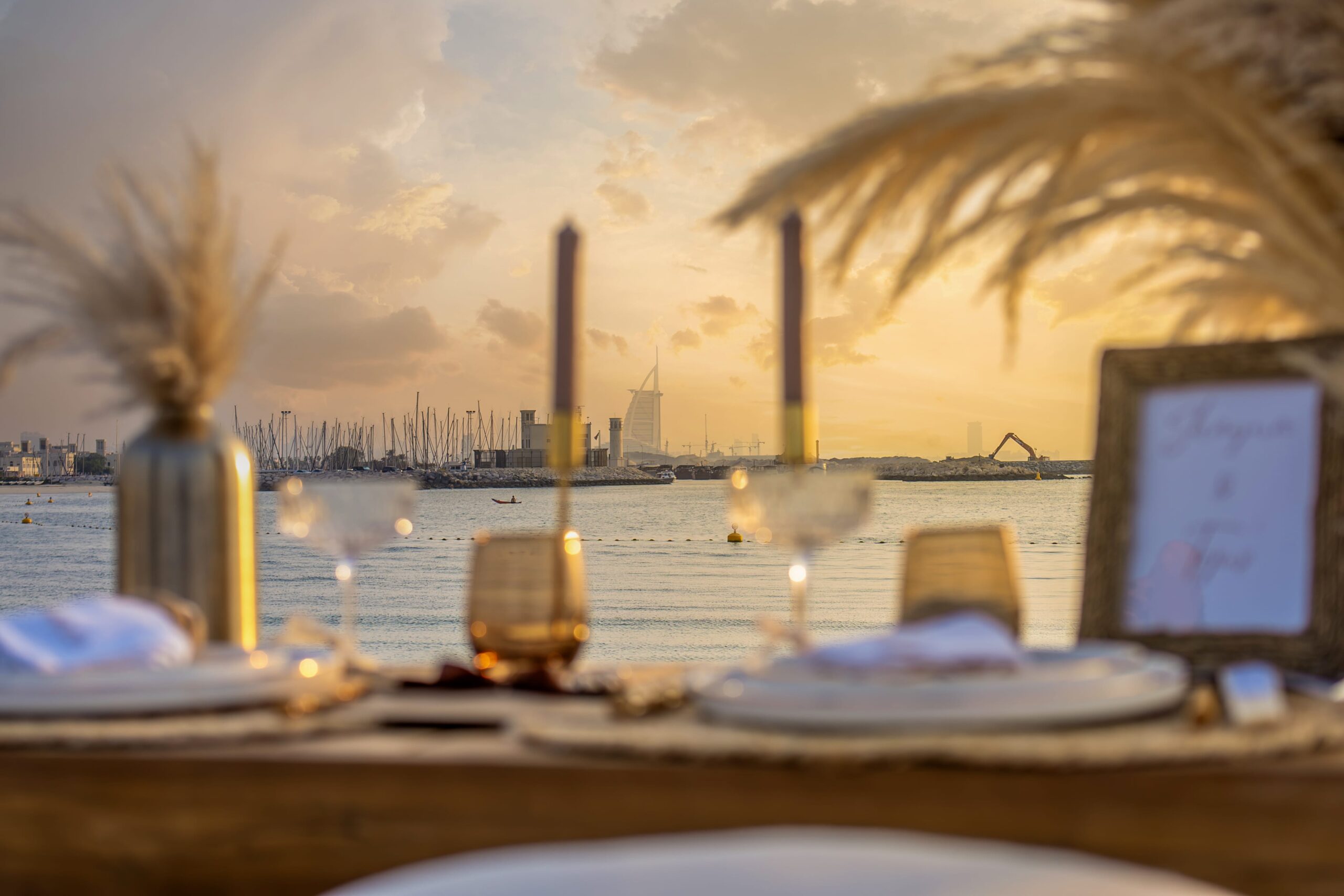 Tejus & Shayna 9 DSC09479