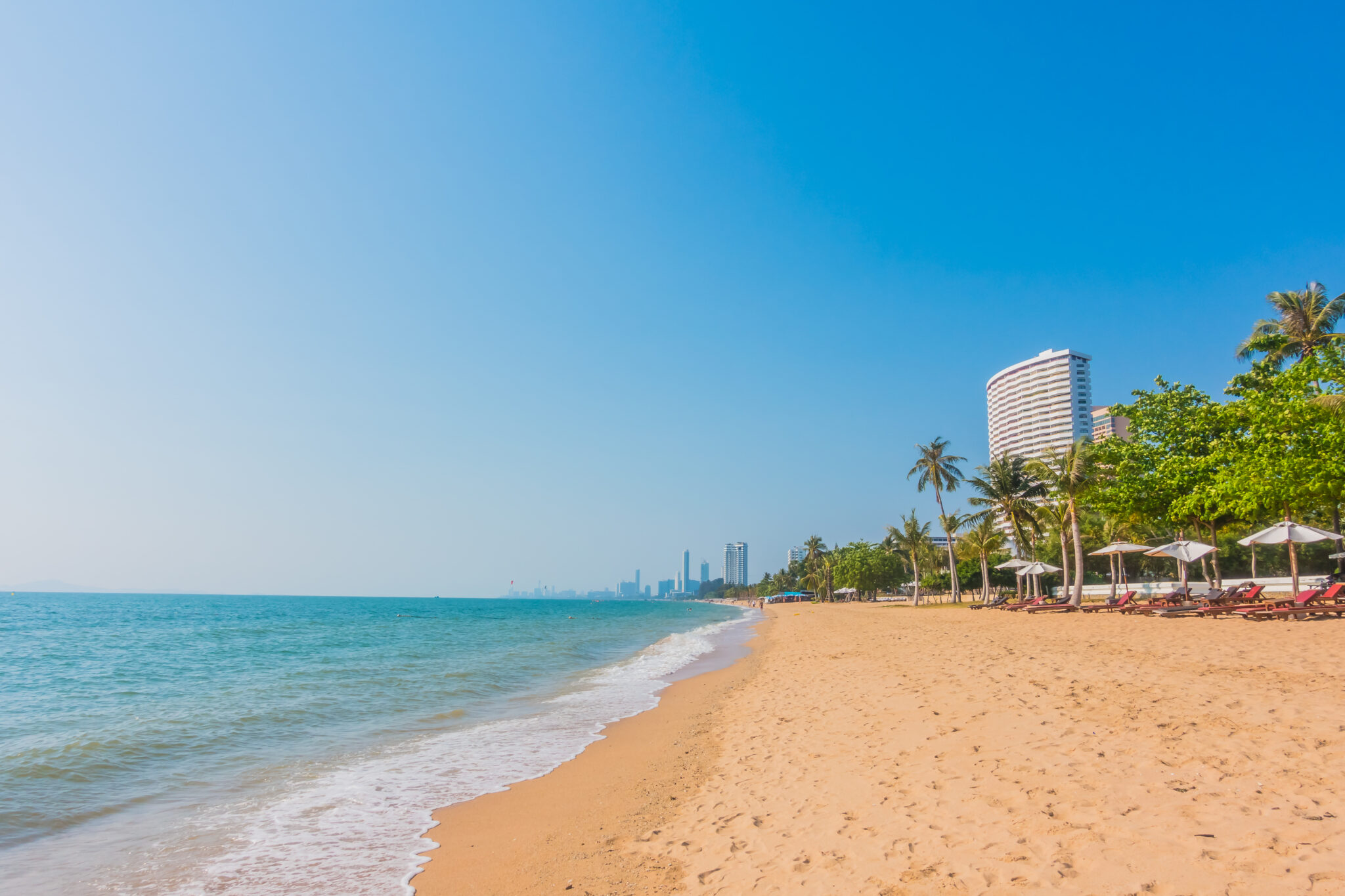 Beautiful beach and sea with palm tree