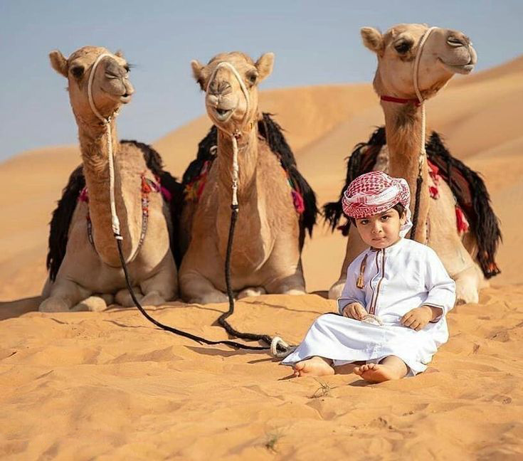 Newborn Photography Dubai – Preserving the Magic of Early Life 3 Why Dubai Is the Perfect Location for Newborn Photography